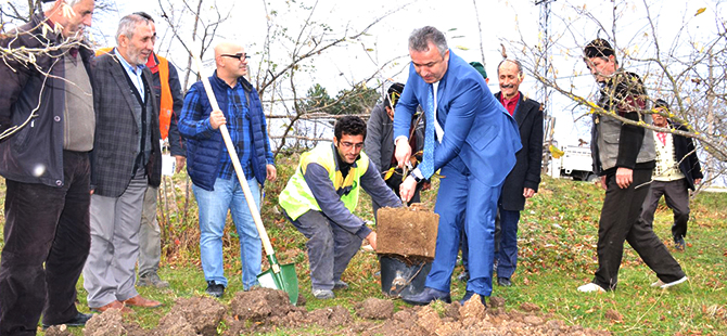 Nebiyan Kestane Fidanları Toprakla Buluştu