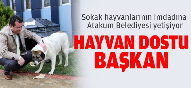  Hayvan dostu başkan