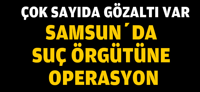 Samsun'da suç örgütü operasyonu: Çok sayıda gözaltı
