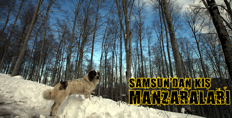 Samsun'dan kış manzaraları