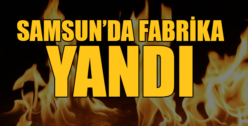 Samsun'da fabrika yangını