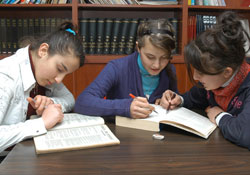 Gazi koordineli çalışıyor