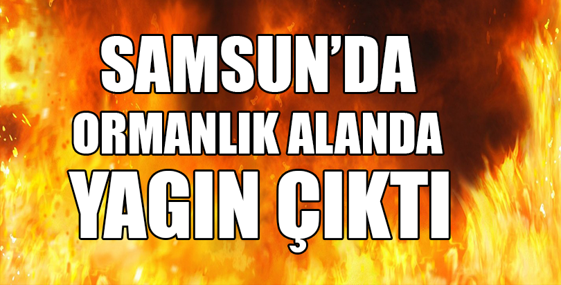 Samsun'da ormanlık alanda yangın