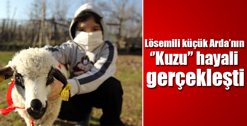 Lösemili küçük Arda'nın "kuzu" hayali gerçekleşti