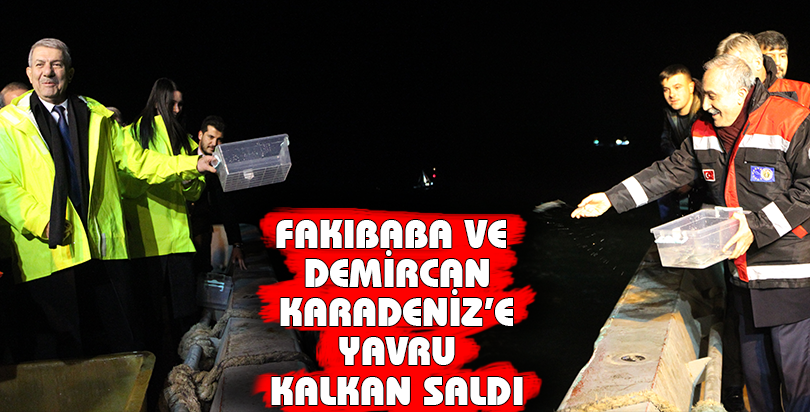 Fakıbaba ve Demircan Karadeniz'e yavru kalkan saldı