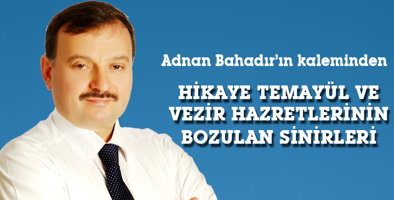 HİKAYE TEMAYÜL VE VEZİR HAZRETLERİNİN BOZULAN SİNİRLERİ