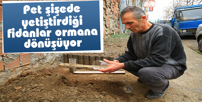 Pet şişede yetiştirdiği fidanlar ormana dönüşüyor