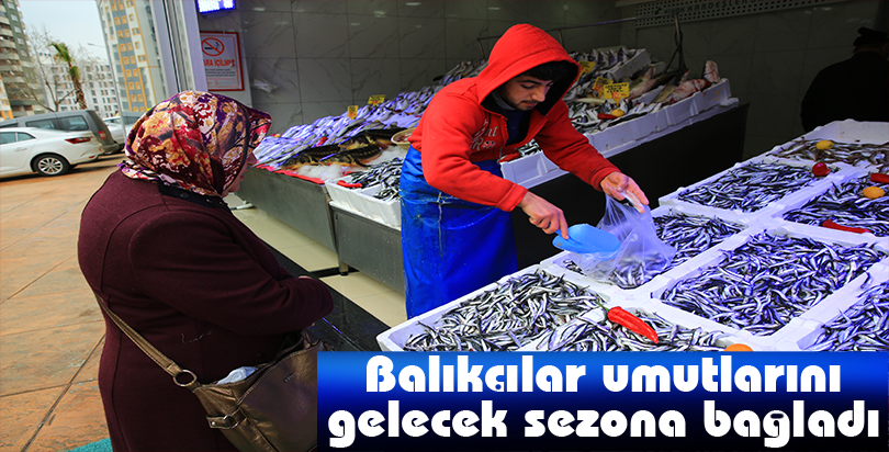 Karadenizli balıkçılar umutlarını gelecek sezona bağladı