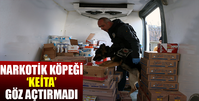 Narkotik köpeği "Keita" göz açtırmadı