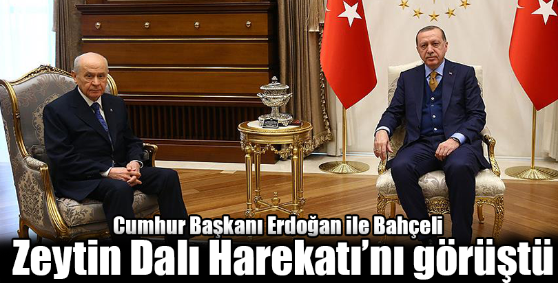 Cumhurbaşkanı Erdoğan ile Bahçeli Zeytin Dalı Harekatı'nı görüştü