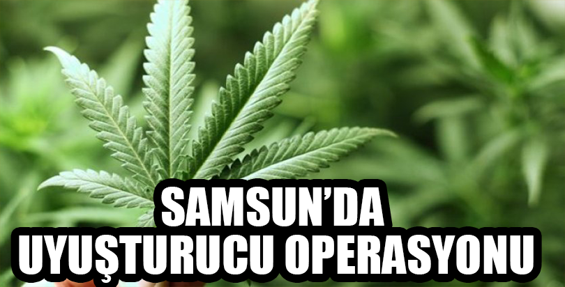 Samsun'un Çarşamba ilçesinde  uyuşturucu operasyonu