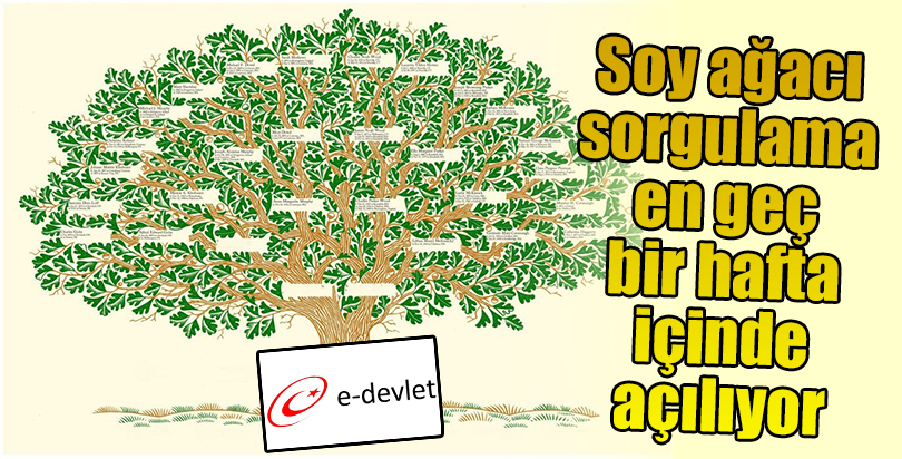 Soy ağacı sorgulama en geç bir hafta içinde açılıyor