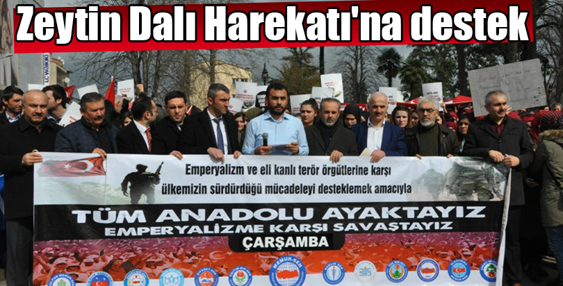 Zeytin Dalı Harekatı'na destek