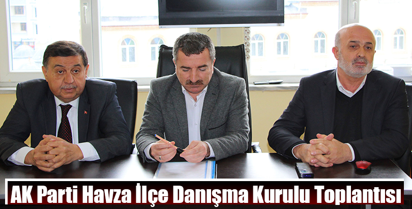 AK Parti Havza İlçe Danışma Kurulu Toplantısı