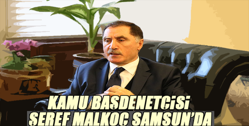 ''Türkiye dünya insanlığının haysiyetini temsil ediyor"