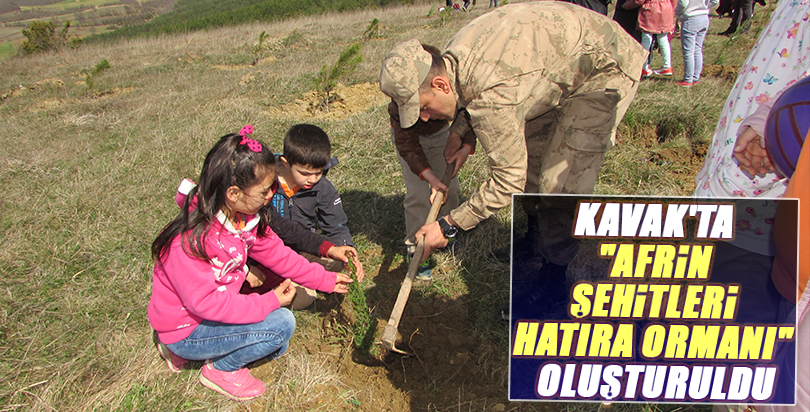 Kavak'ta "Afrin Şehitleri Hatıra Ormanı" oluşturuldu