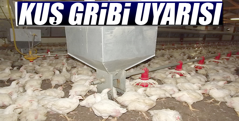 Kuş gribi uyarısı