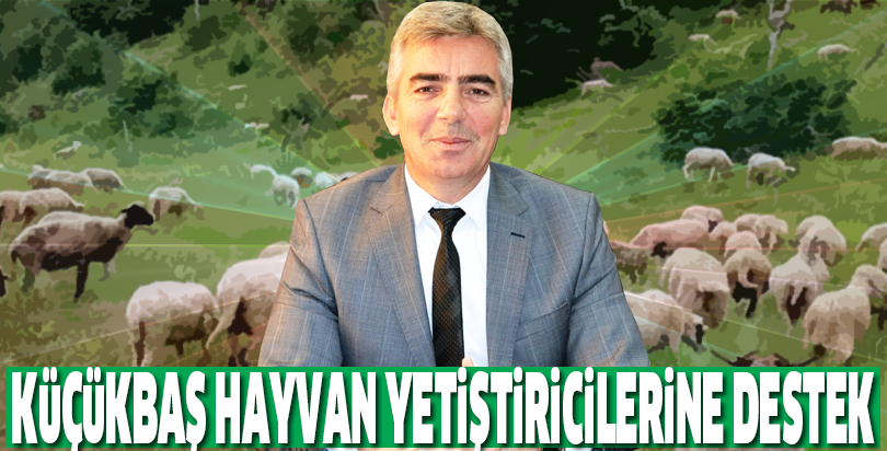 Küçükbaş Hayvan Yetiştiricilerine Destek