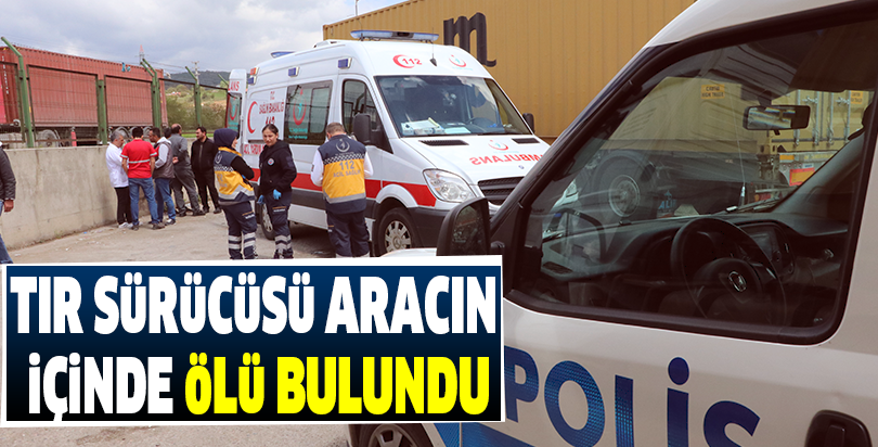 Tır sürücüsü aracın içinde ölü bulundu