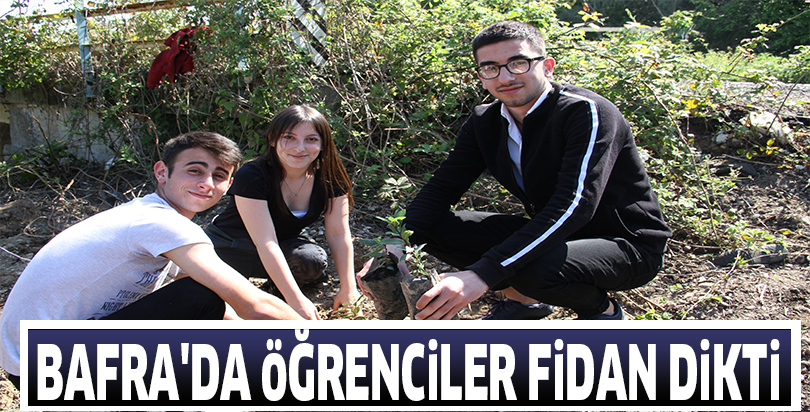 Bafra'da öğrenciler fidan dikti