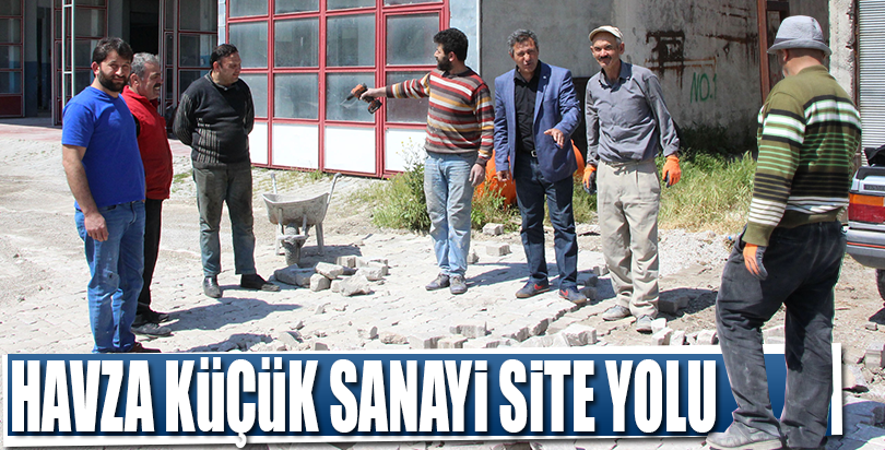 Havza Küçük Sanayi Site yolu