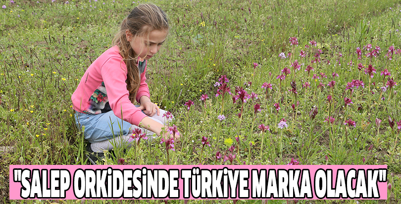"Salep orkidesinde Türkiye marka olacak"