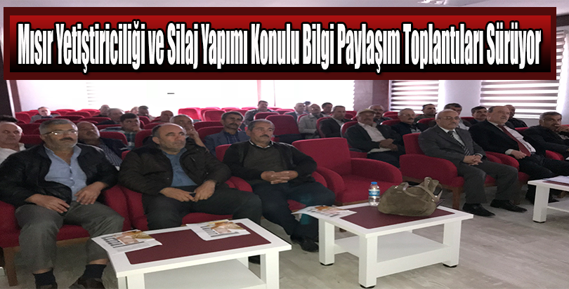 Mısır Yetiştiriciliği ve Silaj Yapımı Konulu Bilgi Paylaşım Toplantıları Sürüyor