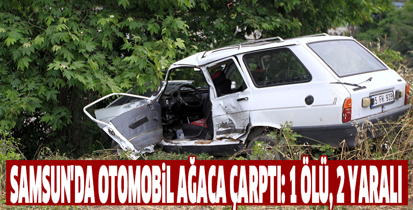 Samsun'da otomobil ağaca çarptı: 1 ölü, 2 yaralı
