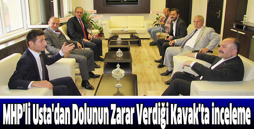 MHP'li Usta'dan Dolunun Zarar Verdiği Kavak'ta İnceleme