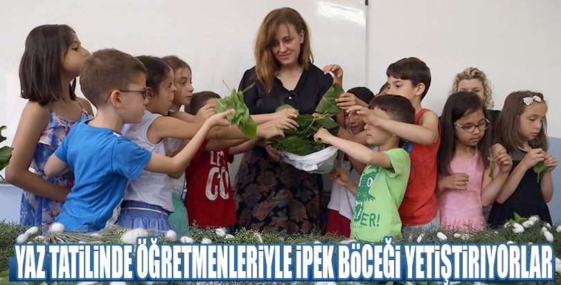 Yaz tatilinde öğretmenleriyle ipek böceği yetiştiriyorlar