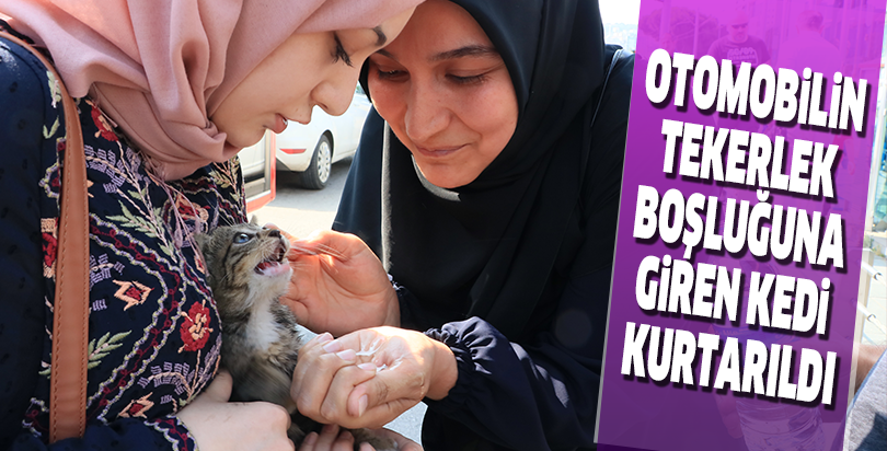 Otomobilin tekerlek boşluğuna giren kedi kurtarıldı