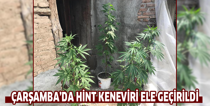 ÇARŞAMBA’DA HİNT KENEVİRİ ELE GEÇİRİLDİ