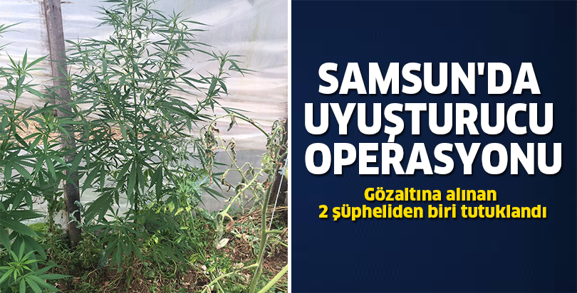 Samsun'da uyuşturucu operasyonu