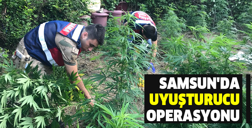Samsun'da uyuşturucu operasyonu