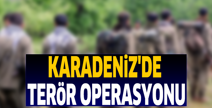 Karadeniz'de terör operasyonu