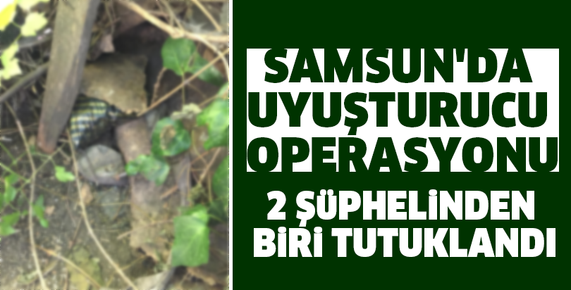 Samsun'da uyuşturucu operasyonu