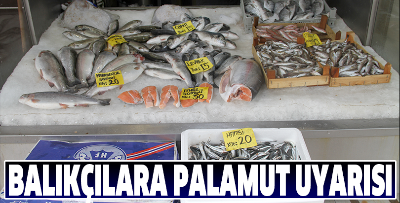 Balıkçılara palamut uyarısı