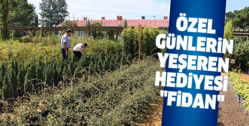 Özel günlerin yeşeren hediyesi "fidan"