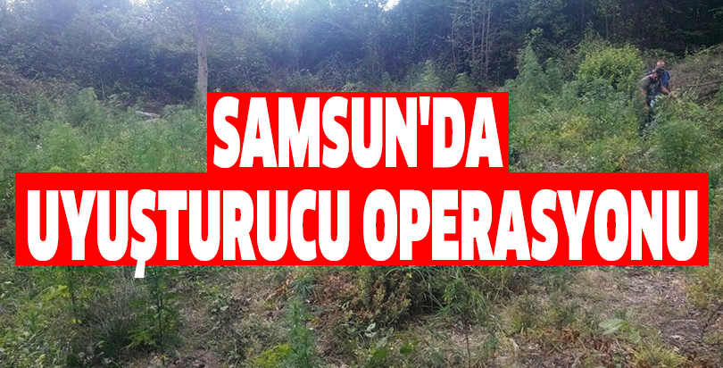 Samsun'da uyuşturucu operasyonu