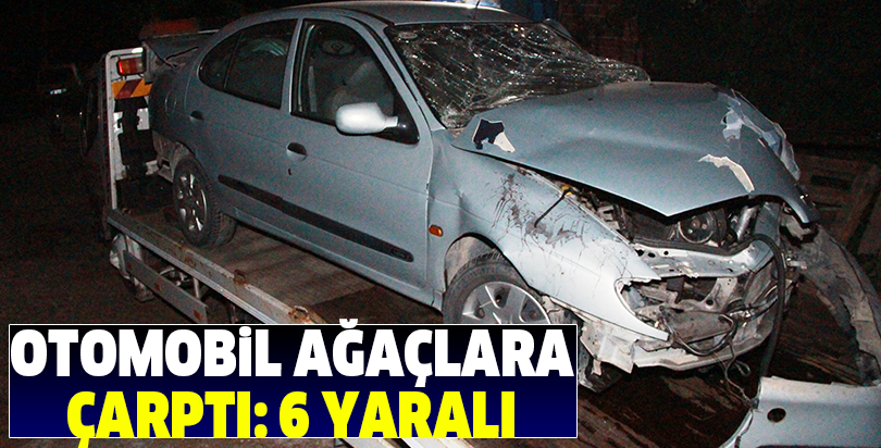 Otomobil ağaçlara çarptı: 6 yaralı