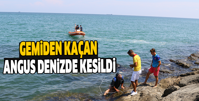 Gemiden kaçan angus denizde kesildi