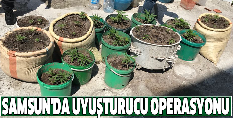 Samsun'da uyuşturucu operasyonu