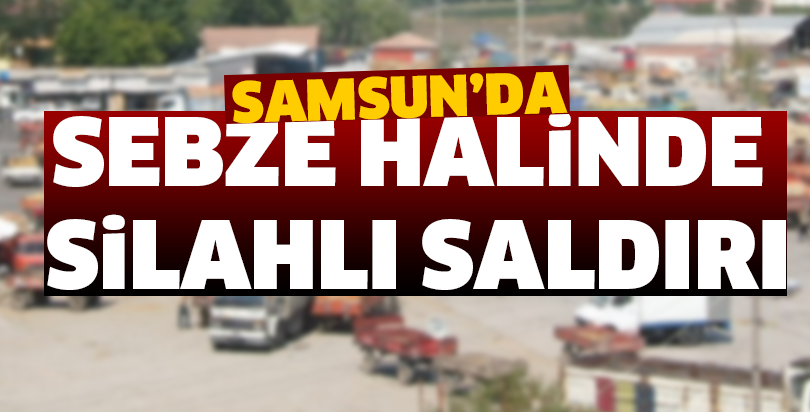 SEBZE HALİNDE SİLAHLI SALDIRI