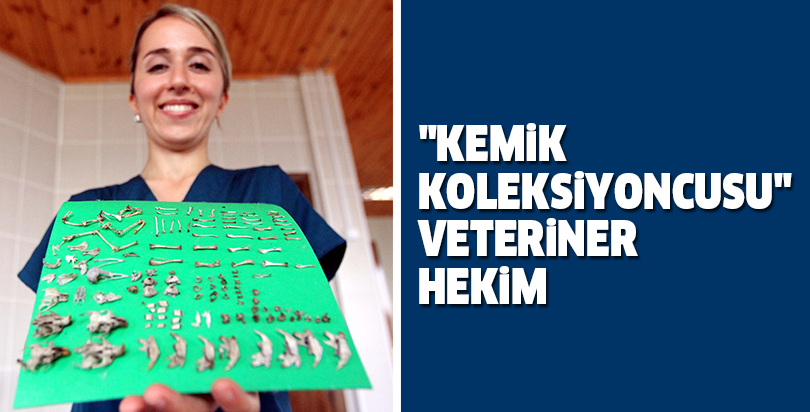 "Kemik koleksiyoncusu" veteriner hekim