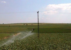 Damlaya damlaya kazandık