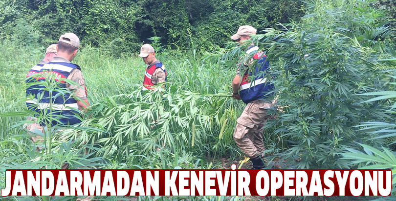 JANDARMADAN KENEVİR OPERASYONU