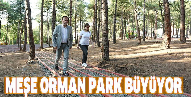 Meşe Orman Park büyüyor