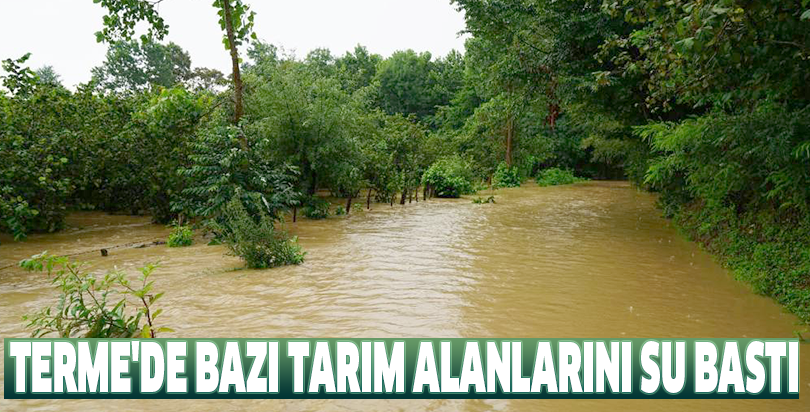 Terme'de bazı tarım alanlarını su bastı