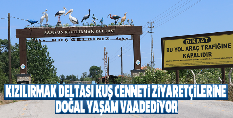 Kızılırmak Deltası Kuş Cenneti ziyaretçilerine doğal yaşam vaadediyor