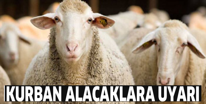 KURBAN ALACAKLARA UYARI